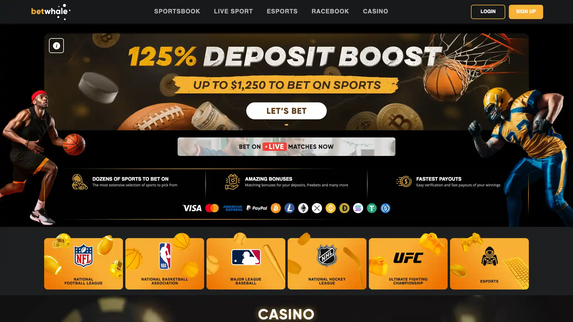 Analyzing Betting Market Inefficiencies and Value Betting Strategies